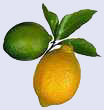   LIMON