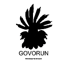   GOVORUN