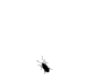   neoangin