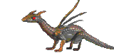 DRAGON6
