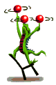 JUGGLER4
